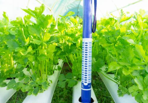 électro conductivité