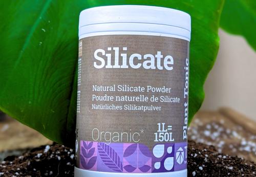 Silicate pour les plantes