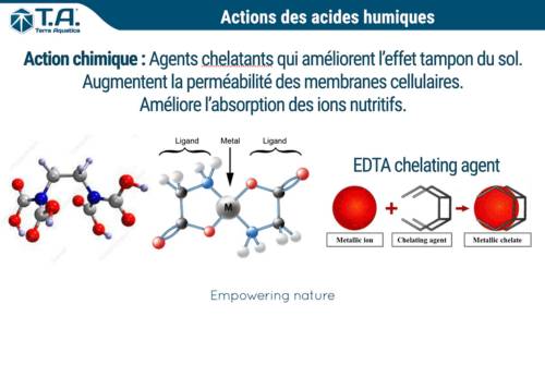 acides humiques actions chimiques
