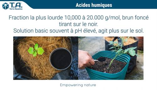 acides humiques, ulmiques et fulviques