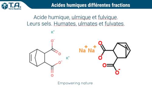 acides humiques fractions