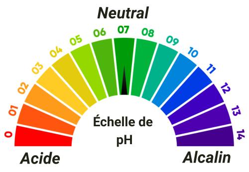 échelle de pH