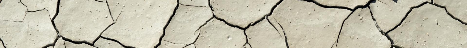 terre argileuse coupe