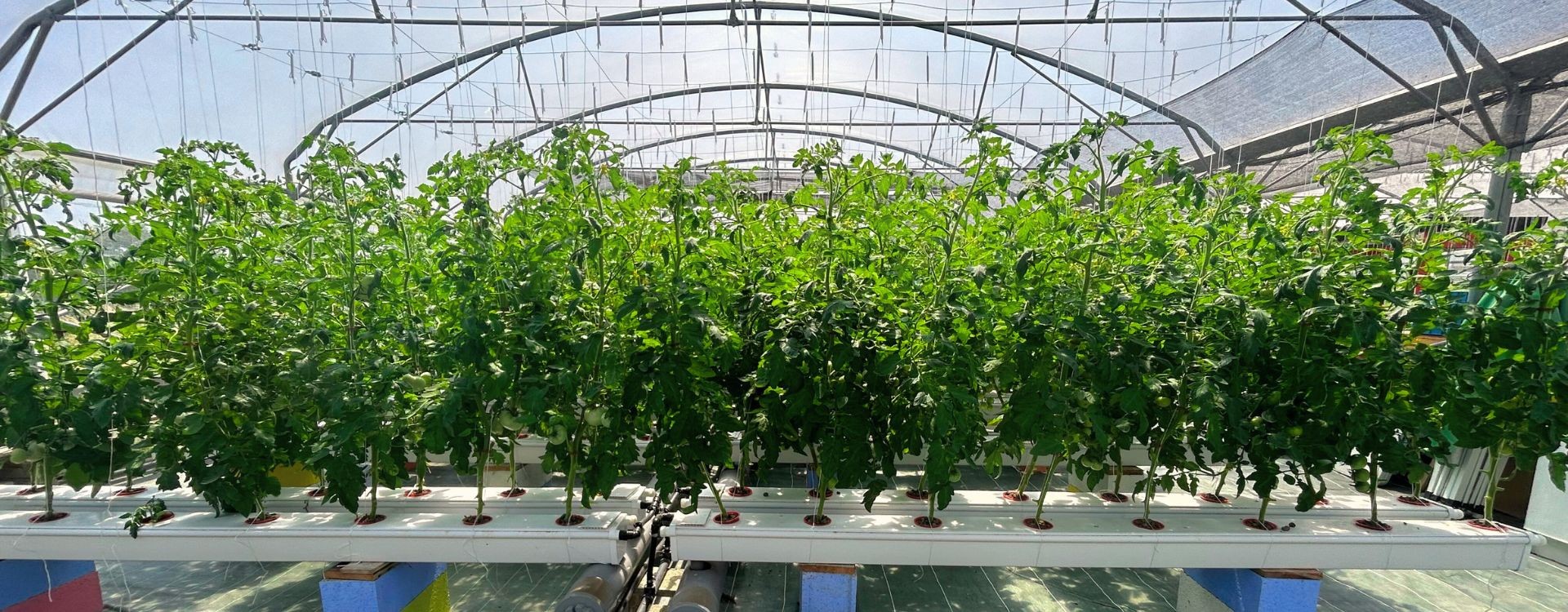 Intérieur, Extérieur & Urbain