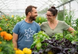 Les Sourciers : pionniers de l’hydroponie écologique et de la microferme depuis 2013