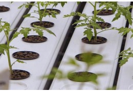 Histoire du système hydroponique GrowStream®, anciennement Aeroflos