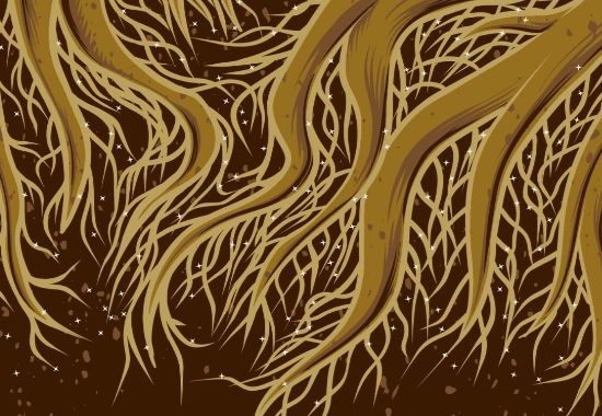 Micro-organismes pour vos plantes :  Invisibles mais essentiels, le monde d’en bas, une guerre invisible