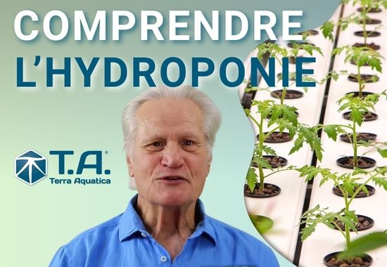 Qu'est ce que l'hydroponie ? Comprendre cette méthode de culture hors sol